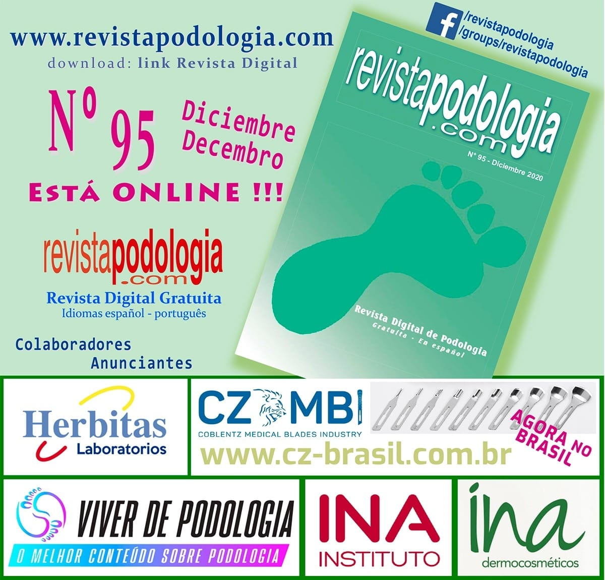 REVISTAPODOLOGIA.COM – ARTIGO PUBLICADO DO DIRETOR DO INA